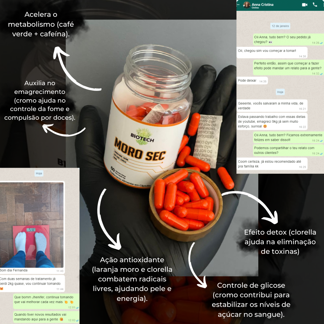 Ação e Composição dos Ativos Moro Sec